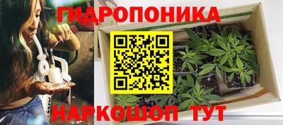 не бодяженный Ставрополь