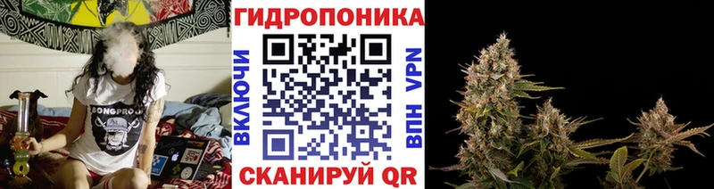 MEGA вход  Нягань  Бошки марихуана план  магазин  наркотиков 